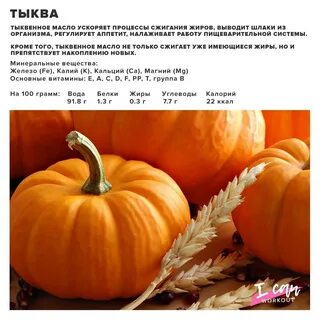 Интересные факты о тыкве