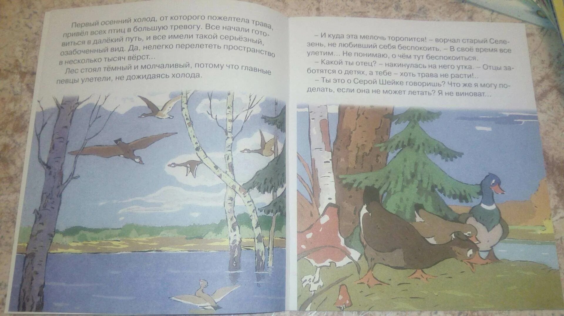 У серой шейки замерло сердце. Первый осенний холод серая шейка. Серая шейка 1948. Серая шейка.сказки.