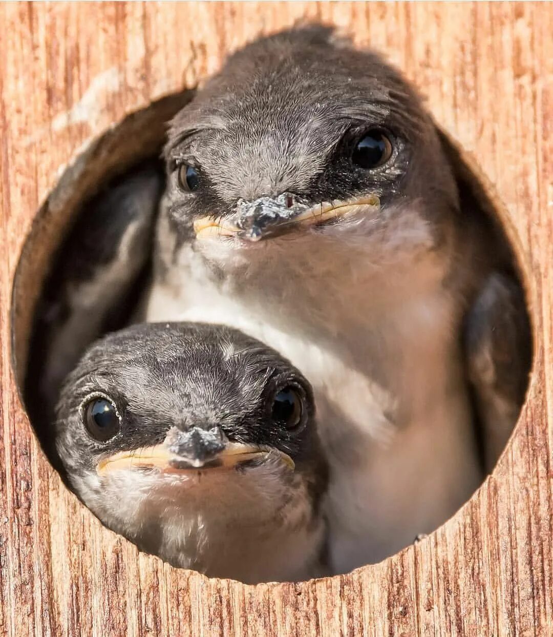 Т д забота. Магазин стройка исянгулово телефон номер. Забота мелеуз. Т д забота. Забота мелеуз.