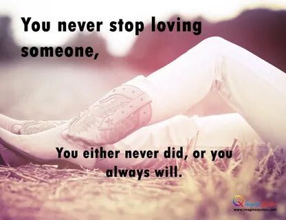 Stop love перевод