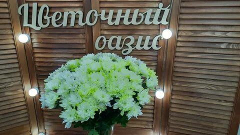 Оазис балашиха цветы