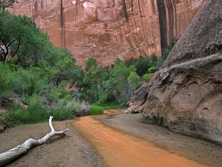 Стена каньона. Стеновая каньон. Rock hiking. Rock hiking. Canyon wall.