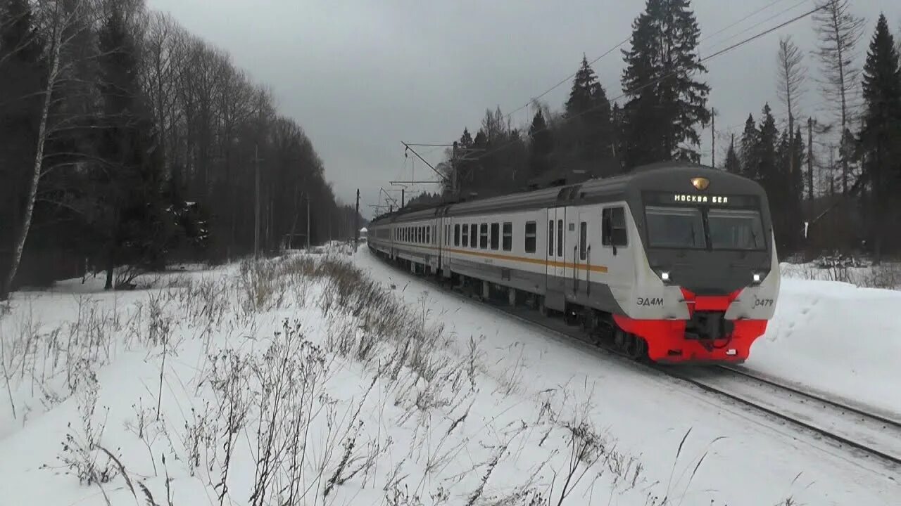 Электрички голицыно звенигород сегодня. Эд4м 0479. Эд4м 479. Электричка Звенигород Голицыно. Эд4м ЦППК.