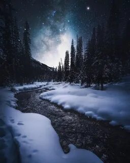 Лес снег ночь