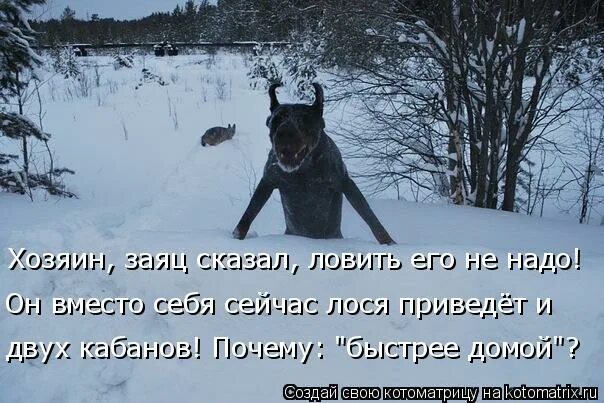 Весёлые картинки прикольные. Прикольные таблички. Драная кошка юмор. Кот жду тебя. Заходи быстро домой.