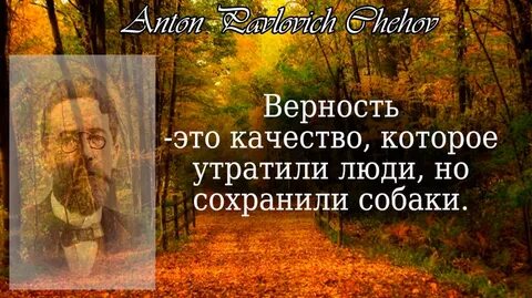 Сохраним утраченное