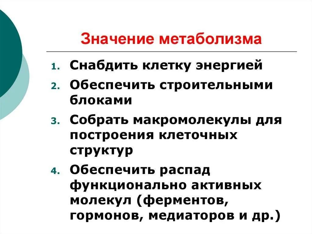 Основные функции обмена веществ. Значение обмена веществ. Значение обмена веществ для организма. Значение энергетического обмена. Значение метаболизма.