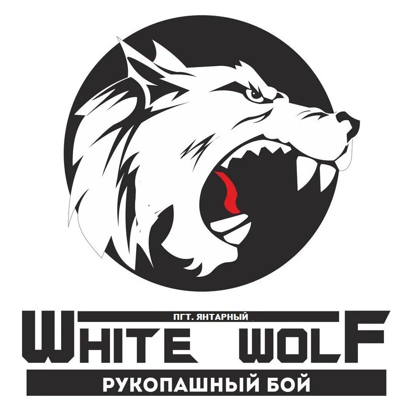 Тундровый волк калининград. Белый волк калининград. Белый волк калининград рукопашный бой. Клуб рукопашного боя white wolf, калининград. Боевой клуб wolf георгиевск.