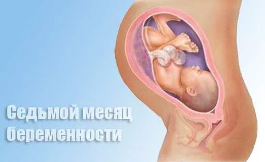 Картинки ЖИВОТ НА ДВУХ НЕДЕЛЯХ БЕРЕМЕННОСТИ