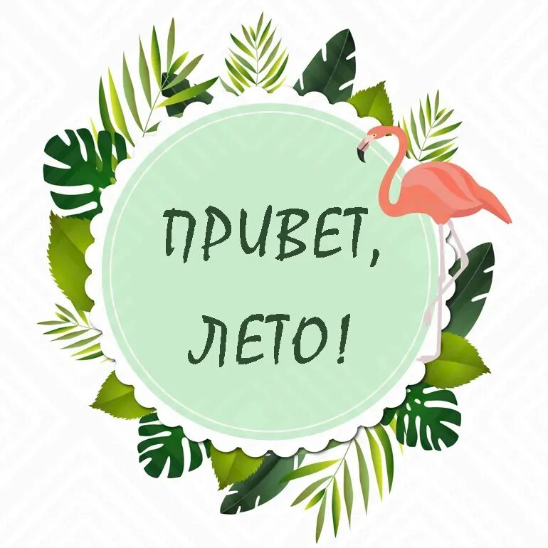 Открытки с первым днем лета. Открытки привет лето. С летом поздравления. Открытки привет лето. Открытки с летом.