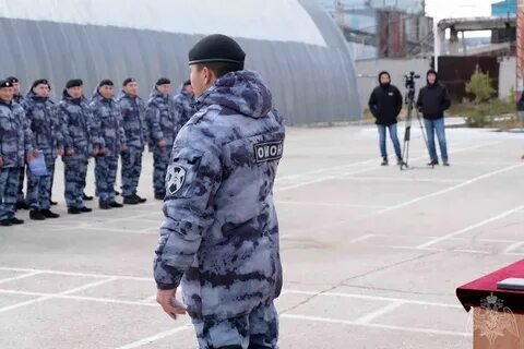 Новый омон