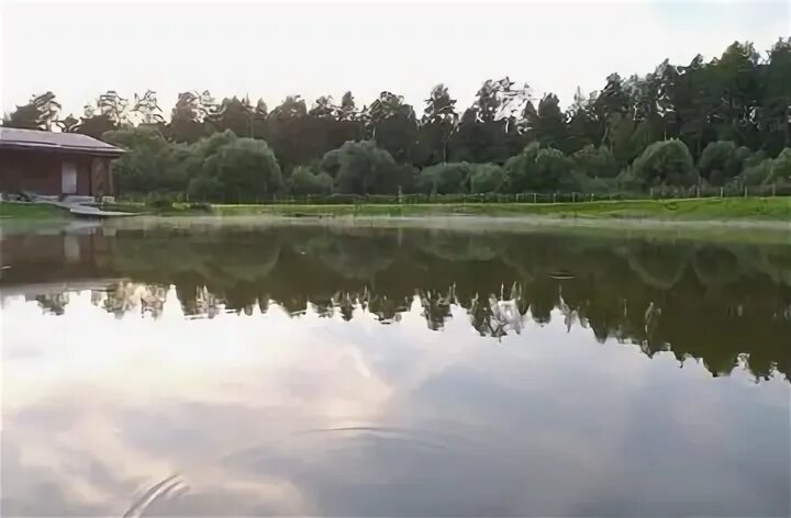 Бушовский пруд тула. Плехановские пруды тула. рыбалка в трещево тульская. трещево тула пруд.