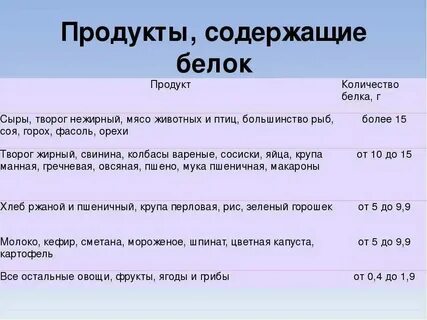 Пища в которой содержится белок