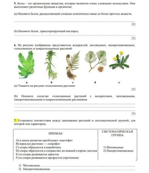 Соч 9 класс 1 четверть. Таблица по биологии 6 класс 4 четверть с ответами.