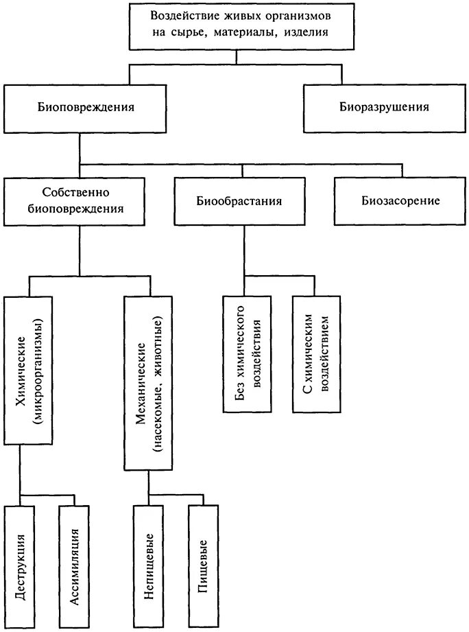 виды воздействий живых организмов. экологические факторы 5 класс биология. факторы их влияние на живых организмов. биозасорение. влияние среды на живые организмы и организмы на среду.