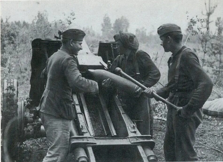 майор дикий 1942. волховский котел. волховский котел. волховский фронт мясной бор. волховский фронт артиллерия.