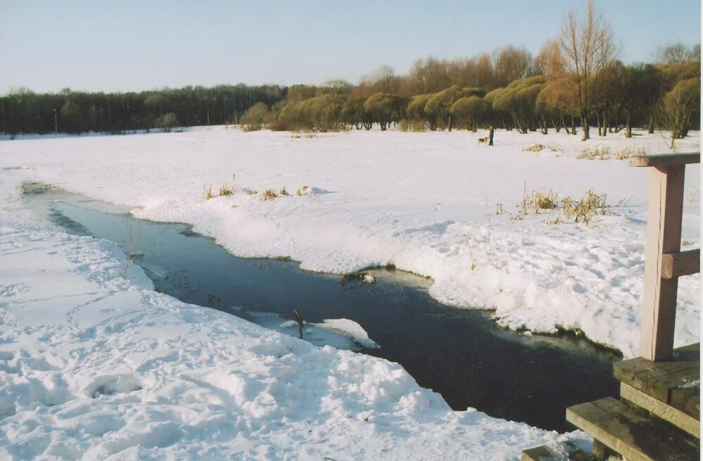 Полынью слушать
