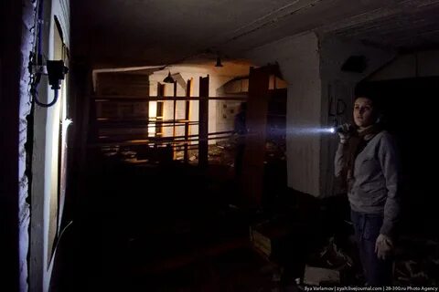 Сталкер квест омск