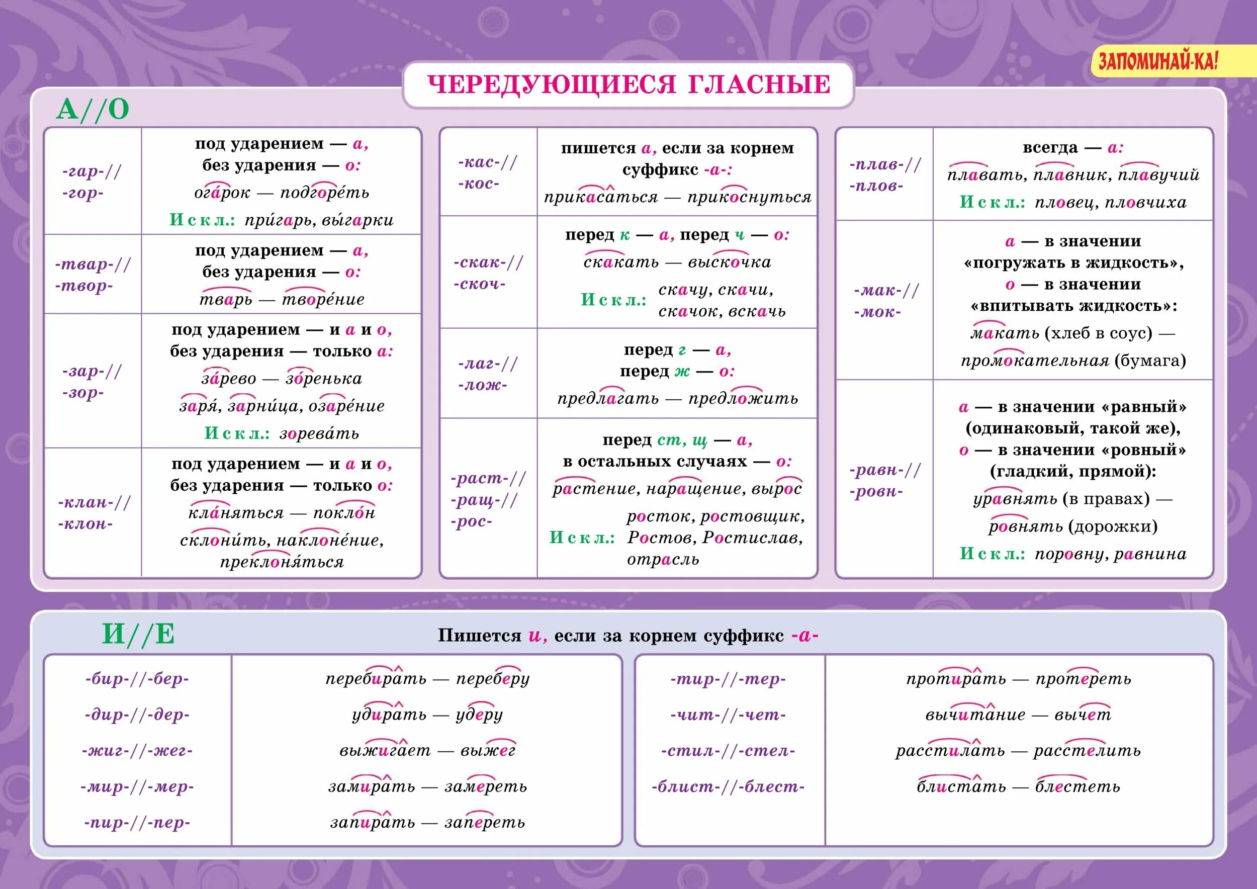 Правописание суффиксов 5 класс карточки. Орфография русского языка. Правила орфографии. Правило русского языка. Орфография русского языка в таблицах.