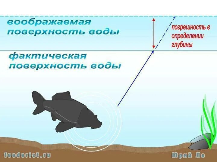 Направление течения и давления рыбы определяют. Давление для рыбалки. Давление для зимней рыбалки. Влияние давления на поведение рыб. Давление для рыбы.