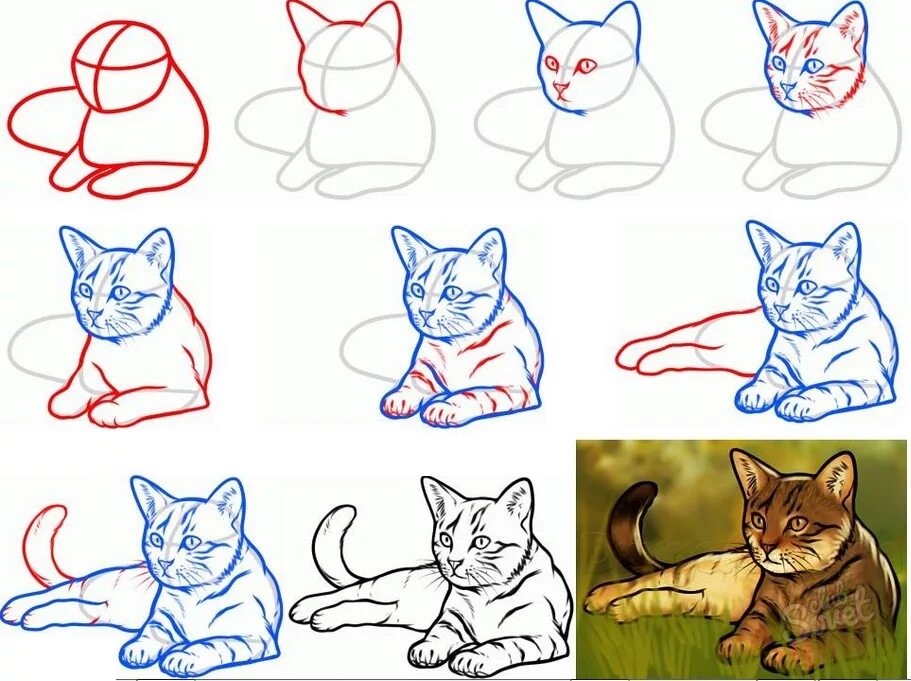 Рисование кошки. Пошаговые рисунки. Кошка пошаговое рисование. Поэтапное рисование кошки для дошкольников. Быстро просто кошка