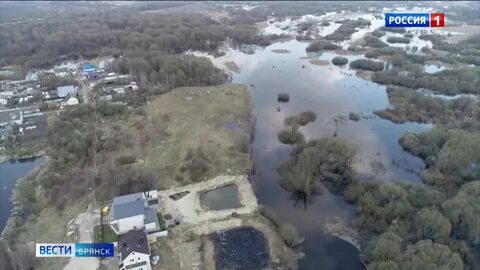 Температура в десне брянск сегодня