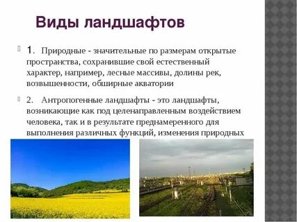 Какие ландшафты относятся к естественным