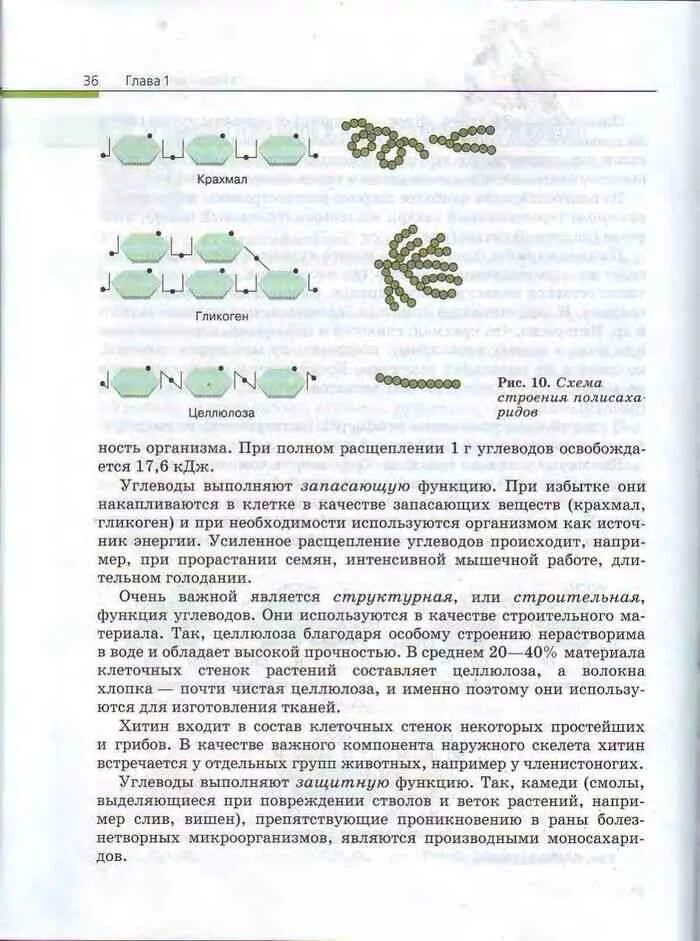 Биология 10 класс пасечник базовый уровень читать. Биология 10 11 класс криксунов пасечник. учебник биологии 10-11 пасечник, каменский, криксунов. учебник по биологии 10 класс пасечник каменский. учебник по биологии 10-11 класс пасечник каменский.