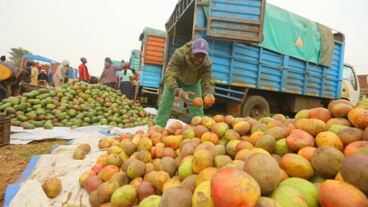 О бедности и богатстве. Манила филиппины трущобы. Poor prices. Poor prices. Золото цена.
