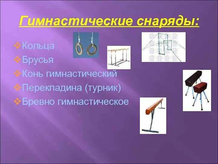 Что относится к гимнастическому инвентарю