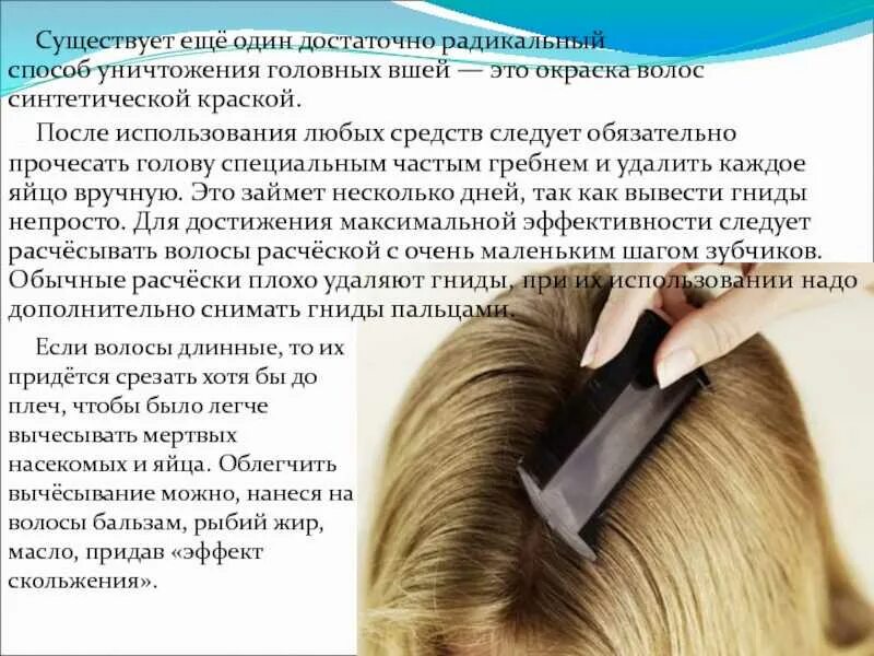 При какой температуре погибает вша и гнид. При какой температуре погибает вша и гнид