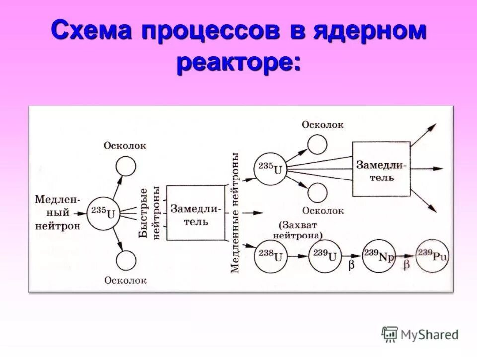 Схема ядерных реакций в реакторе. Схема процессов в ядерном реакторе. Цепная реакция в атомном реакторе. Схема цепной атомной реакции.