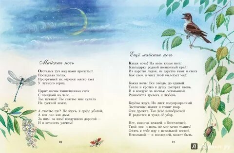 Стихотворение фета о природе 5 класс