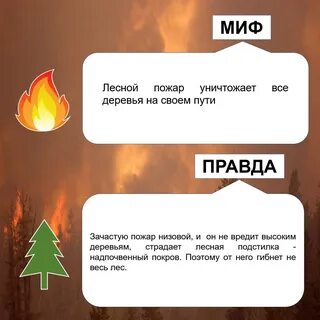 Вопросы связанные с пожаром