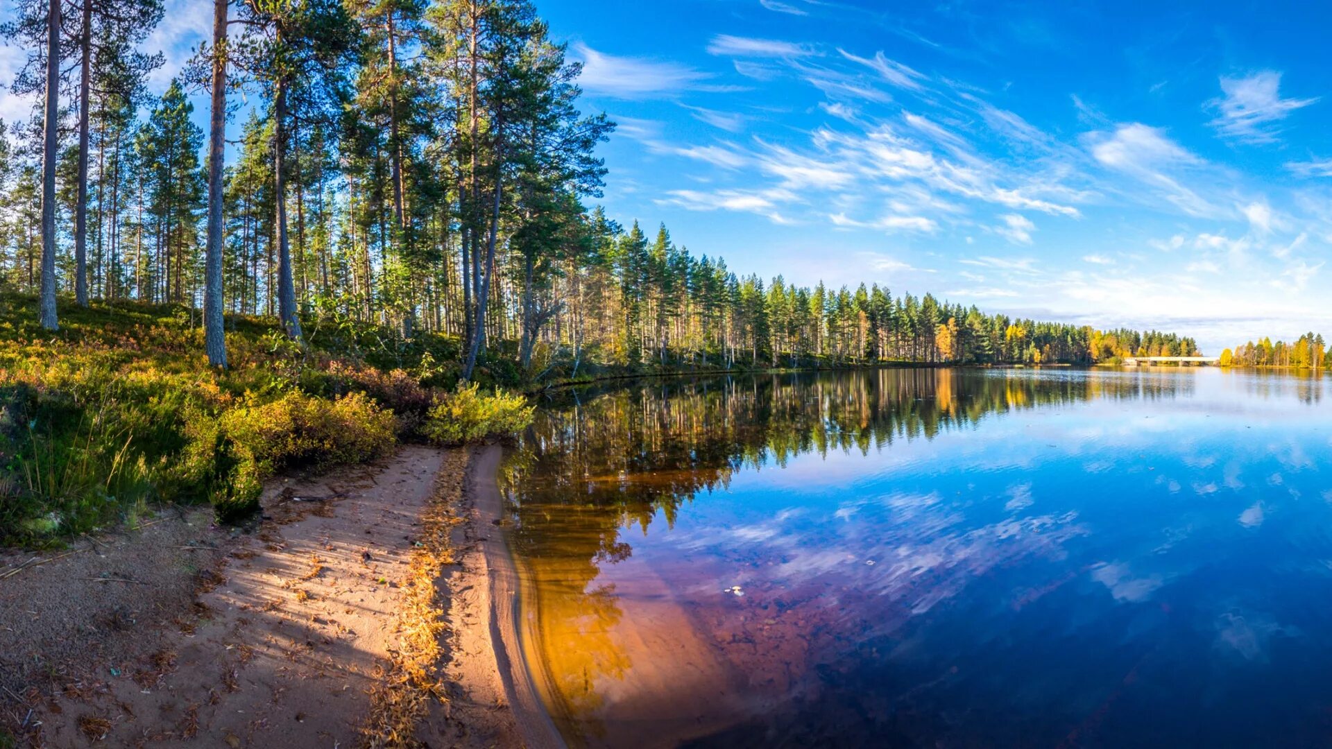 Лесное озеро Карелия. Озеро Сандал Карелия. Голубое озеро Карелия. Озеро Березовое Карелия. 16 реки и озера