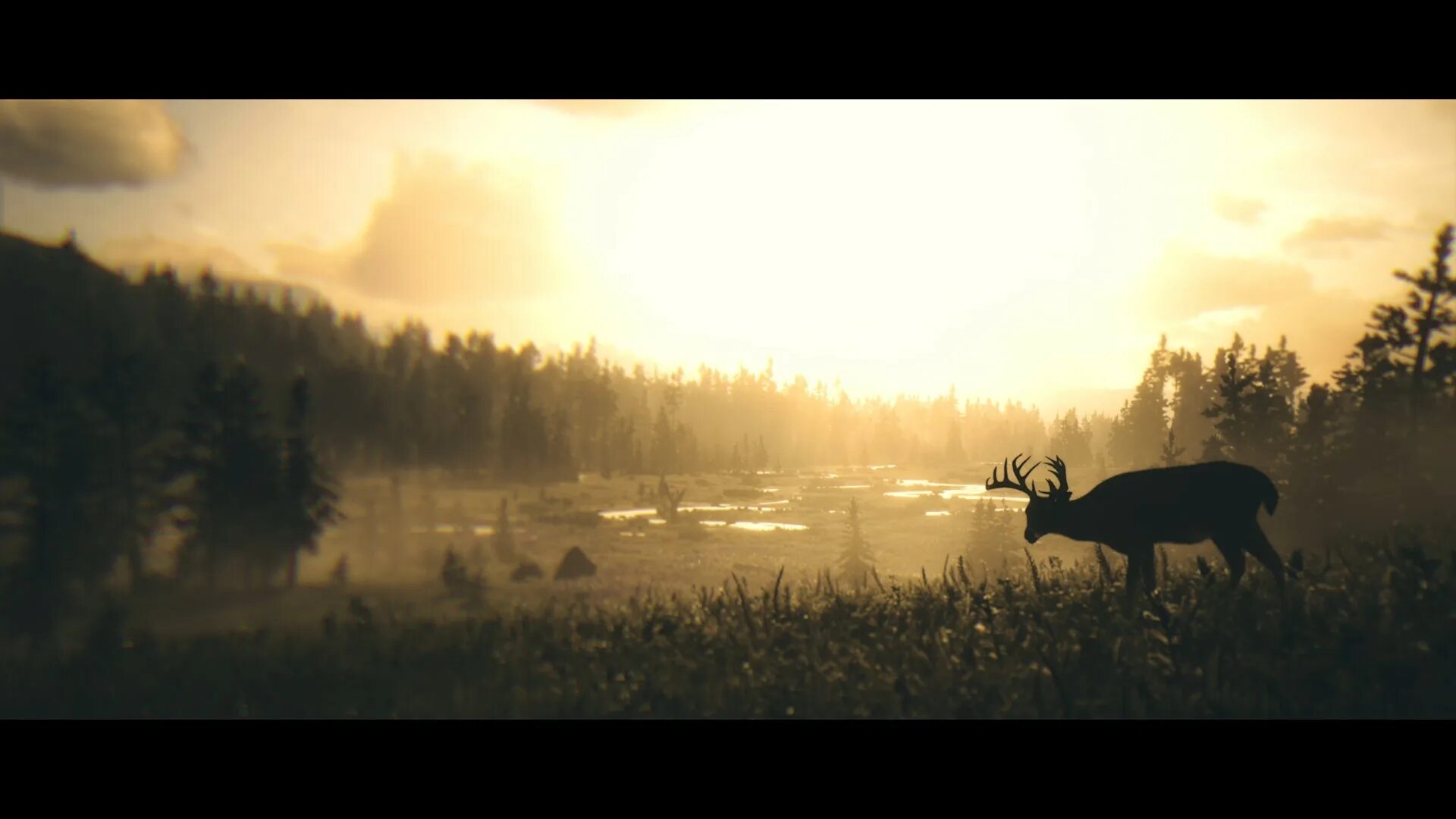 Red dead redemption 2 природа. Red Dead Redemption 2. Red Dead Redemption 2 1920. Ред дед редемпшн 2 природа.