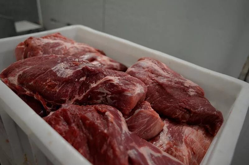 Заражение мяса. Трихинеллез мясо диких животных. Заражение мяса. Заражение мяса. Мясо медведя зараженное трихинеллезом.