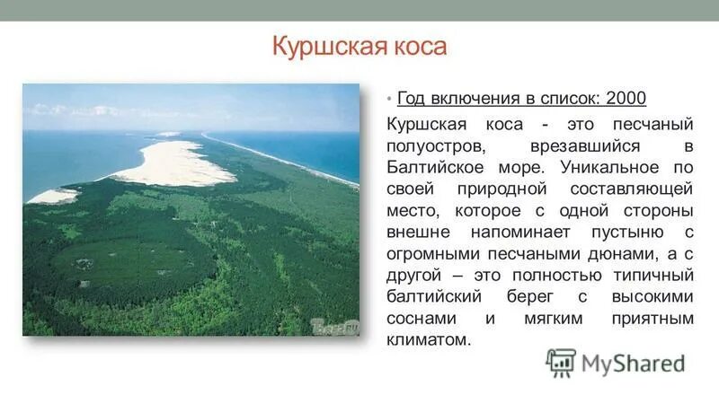 Сообщение про куршскую косу. Сообщение про куршскую косу