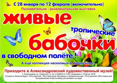 Бабочки нижний новгород