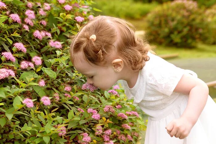 У девочки 6 лет запах. Девочка на лугу нюхает цветы фото. Общение детей с природой. Little heart a модель. Девочка нюхает цветок.