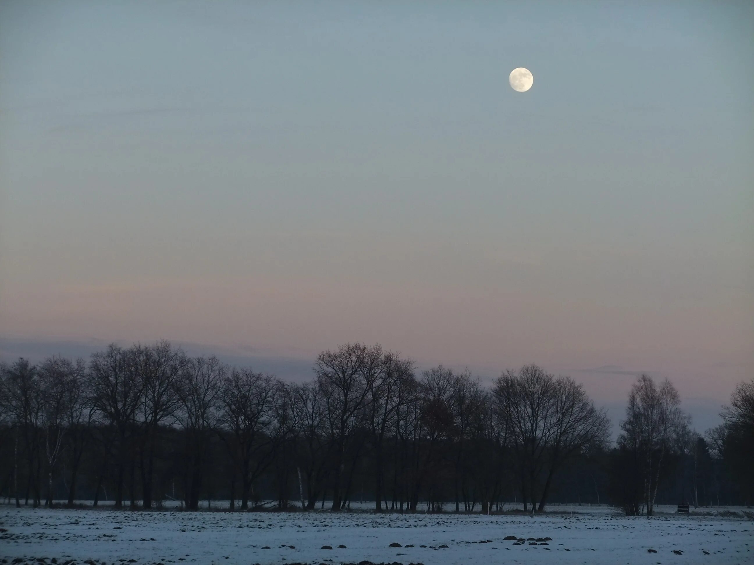 Луна в разное время года. Зимнее ночное небо. Тусклая Луна. Зима поле Луна. Сумерки Луна.