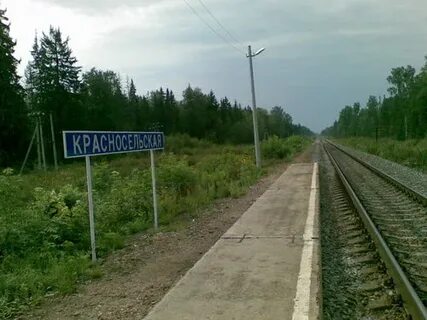 Иваново ленинградская область