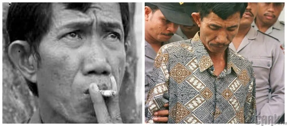 ахмад сураджи. ахмад сураджи. колдун целитель ищет. ахмад сураджи. ахмад сураджи.