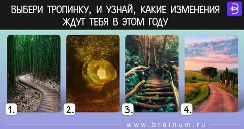 Тест какое ты поле