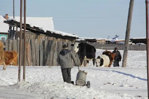Погода хогот иркутская область