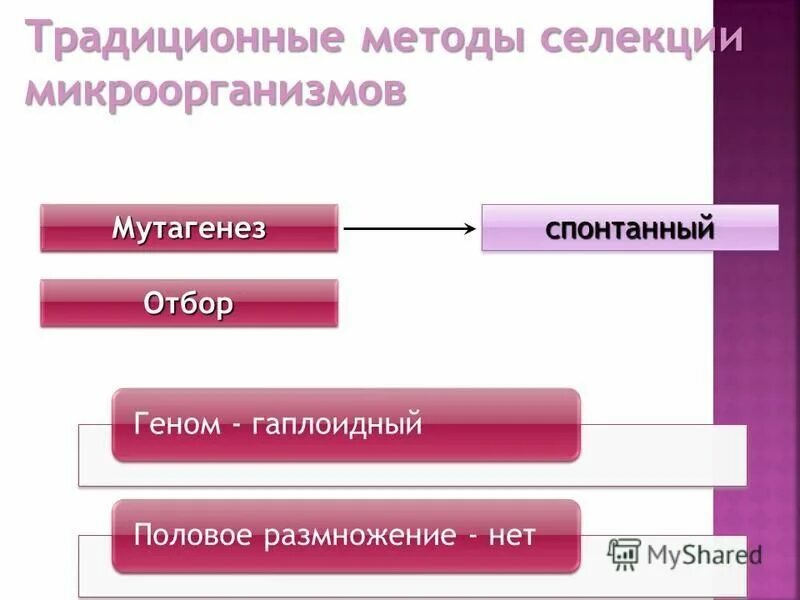 Методы селекции искусственный мутагенез. В селекции микроорганизмов не используется мутагенез. Искусственный мутагенез в селекции. В селекции микроорганизмов не используется мутагенез. Экспериментальный мутагенез.