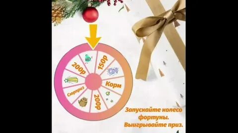 Запусти фортуну