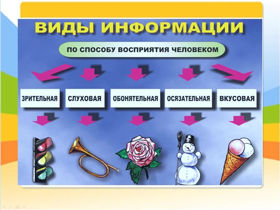 Восприятие информации учащимися. Виды информации. Способы восприятия информации. Информация по способу восприятия. Виды информации по способу восприятия.