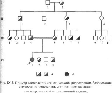 Схема родословной генетика