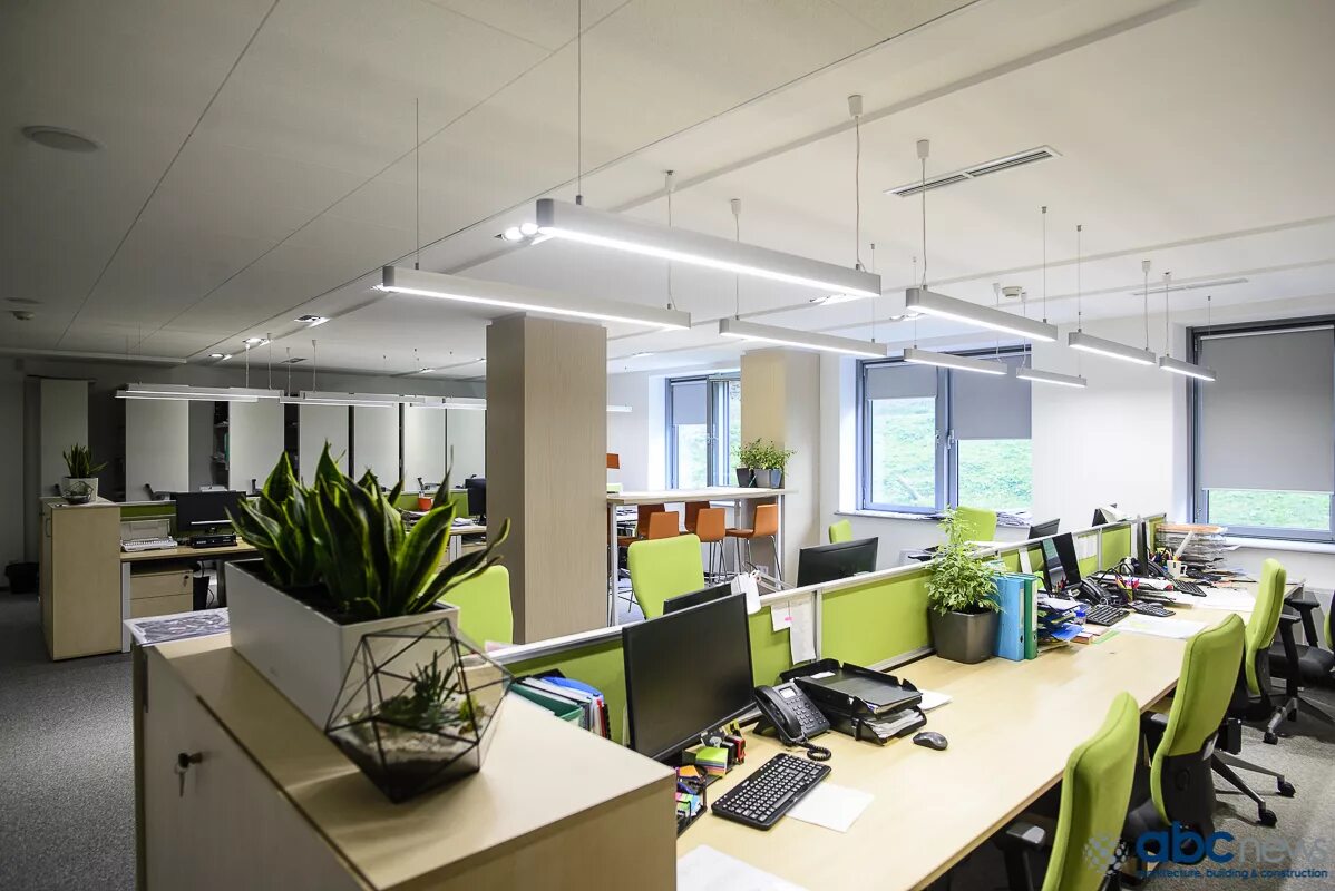 зеленый офис. интерьер офиса. озеленение помещений. проект зеленый офис. бюро фитодизайна фикус.